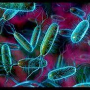 Современная диагностика инфекции Helicobacter pylori!